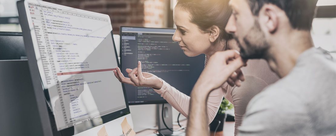 10 Things to Look for in a Web Application Development Company