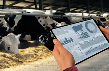 Intelligent CRM Optimizes Livestock Industry Performance